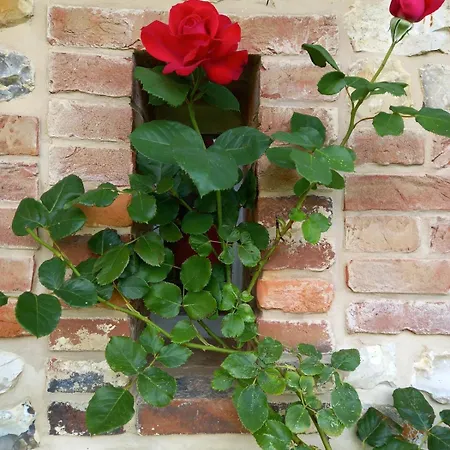 Holiday home Petite Maison Et Grand Jardin Wifi A 20 Minutes *