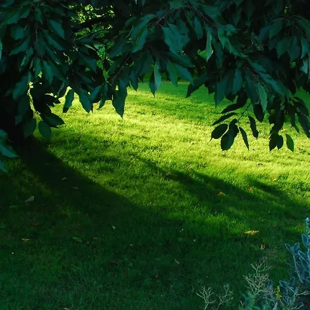 Holiday home Petite Maison Et Grand Jardin Wifi A 20 Minutes *