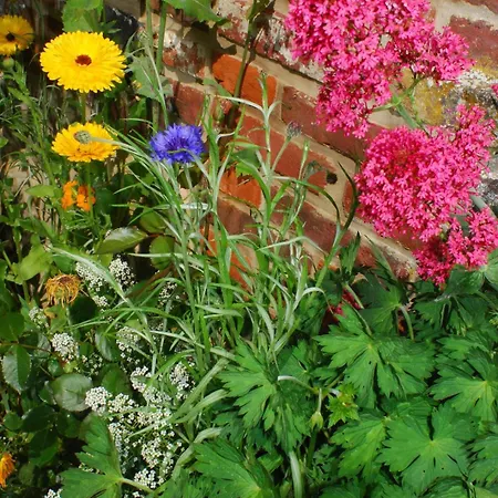 Holiday home Petite Maison Et Grand Jardin Wifi A 20 Minutes
